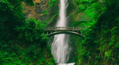 The Hike